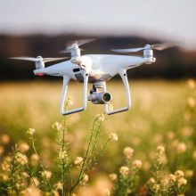 imgi_185_drone-quad-copter-yellow-field_93200-3030